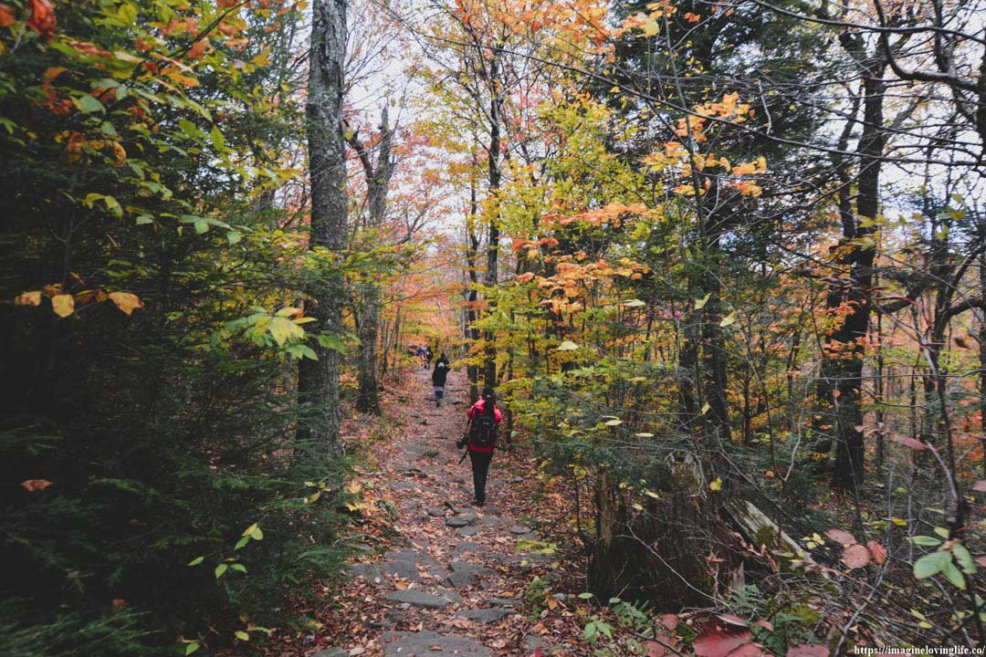 Trail going back